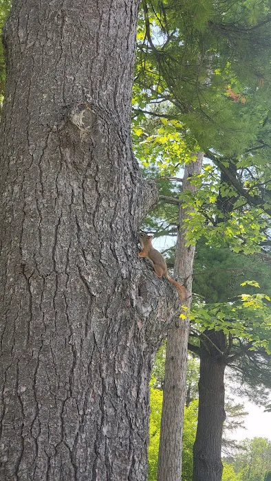 Brown County Reforestation Camp Campground Picture 9