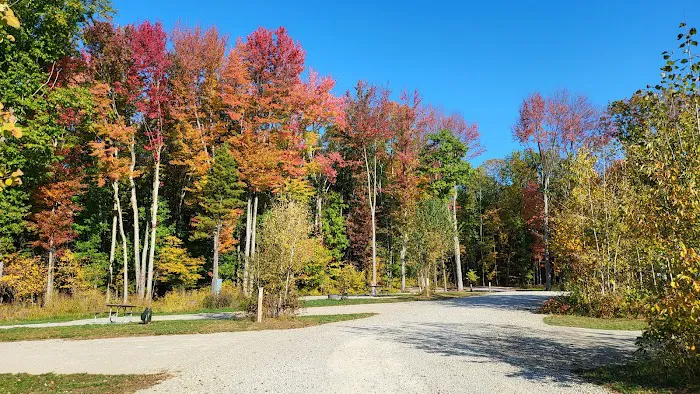 Brown County Reforestation Camp Campground Picture 8