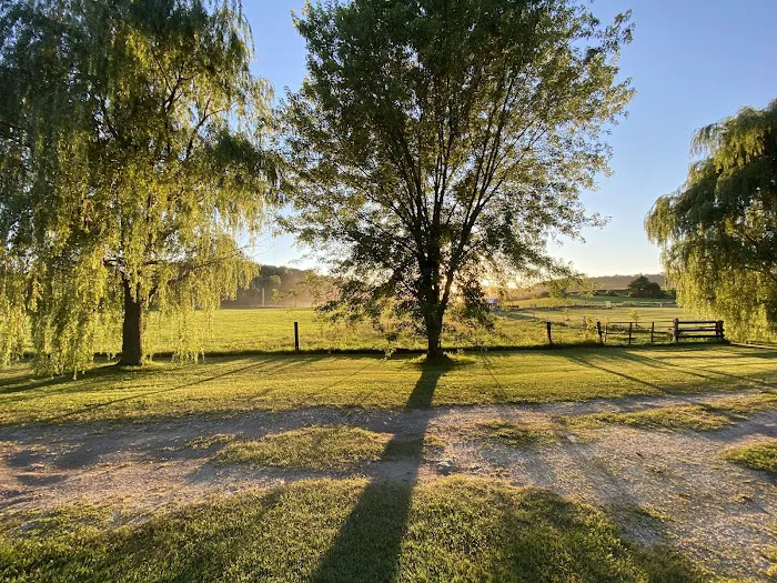 Hutchinson Family Farms Picture 2