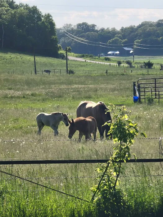 Hutchinson Family Farms Picture 10
