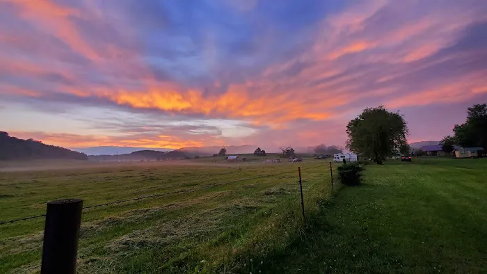 Hutchinson Family Farms Picture 6