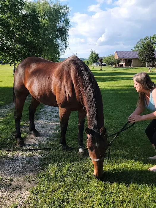 Hutchinson Family Farms Picture 9