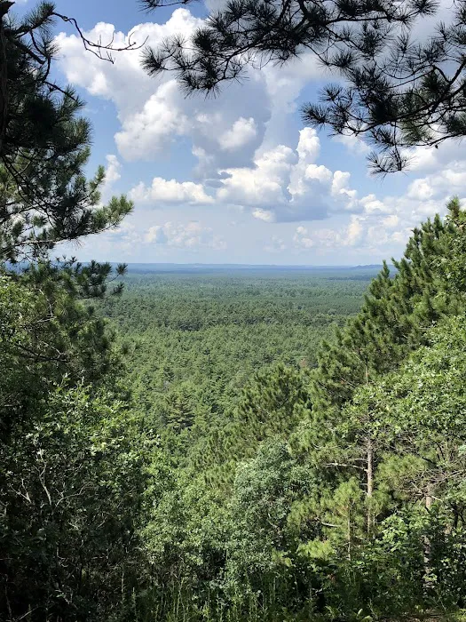 Pigeon Creek Campground Picture 9