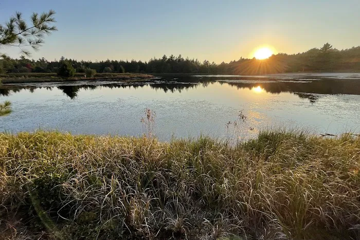 Pigeon Creek Campground Picture 7