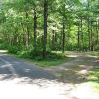 Pigeon Creek Campground ico