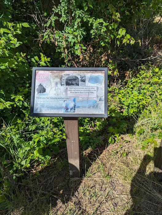 Sparta DNR Campground Picture 10