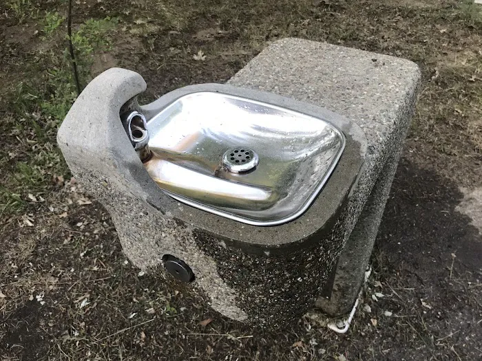 Sparta DNR Campground Picture 6