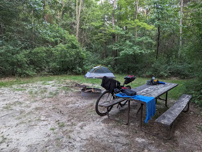 Sparta DNR Campground Picture 1