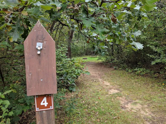 Sparta DNR Campground Picture 8