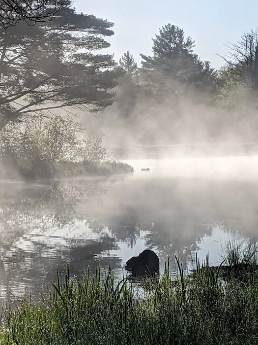 Merlin Lambert County Park Picture 2