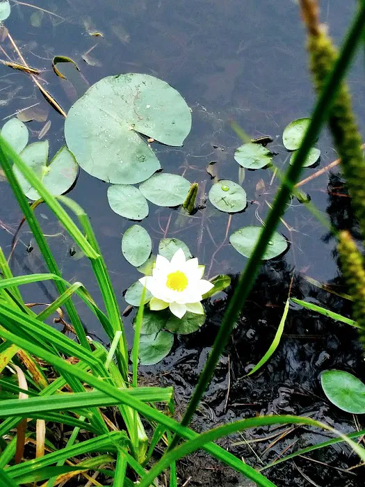 Merlin Lambert County Park Picture 6