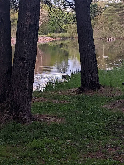 Merlin Lambert County Park Picture 9