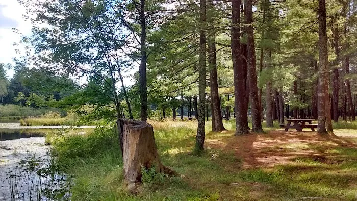 Merlin Lambert County Park Picture 4