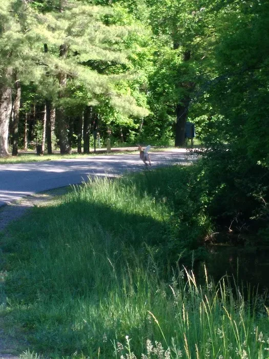 Merlin Lambert County Park Picture 5