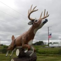 Parkland Village Campgrounds ico