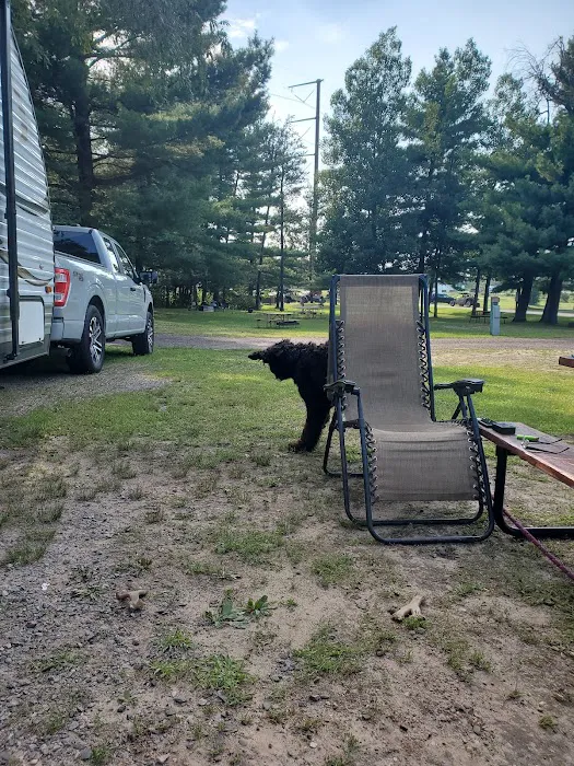 Parkland Village Campgrounds Picture 5