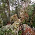 Castle Mound Campground