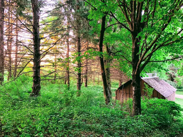 Wet Bark Recreation Area Picture 10