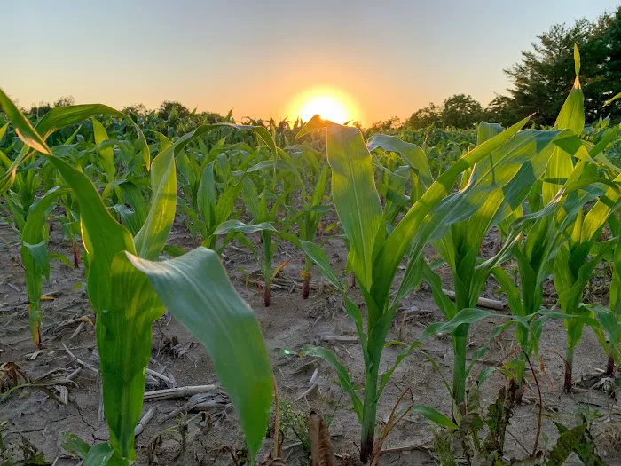 Wet Bark Recreation Area Picture 5