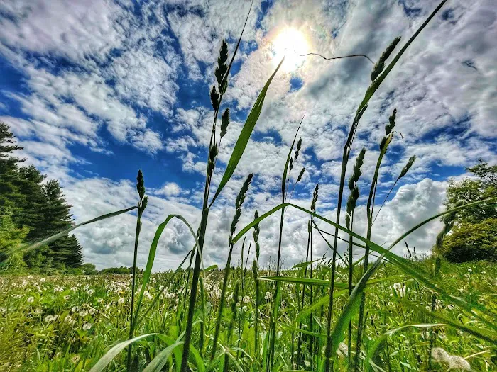 Wet Bark Recreation Area Picture 3