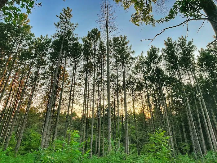 Vinegar Ridge Recreation Area Picture 4
