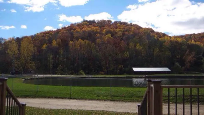 Money Creek Haven, Inc. Picture 6