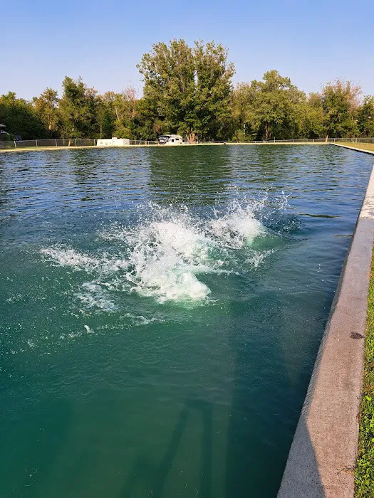 Money Creek Haven, Inc. Picture 1