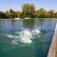 Money Creek Haven, Inc. ico