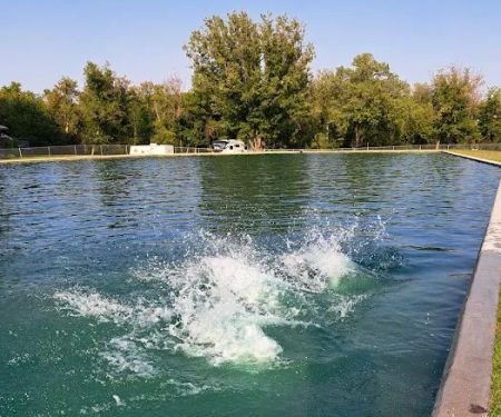 Money Creek Haven, Inc.