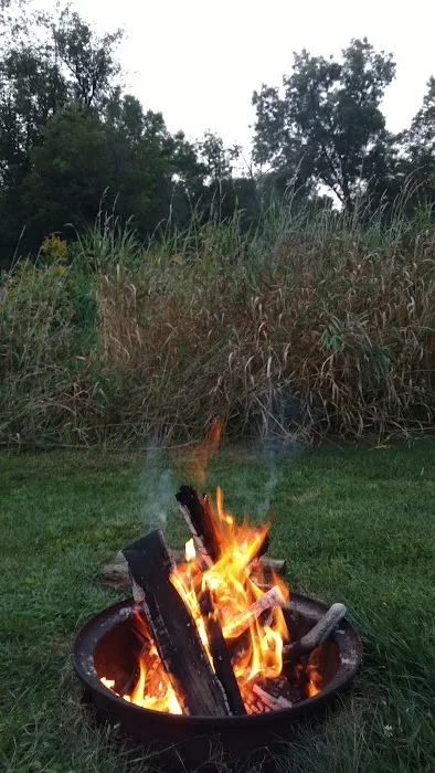 Highway 250 Campground Picture 7