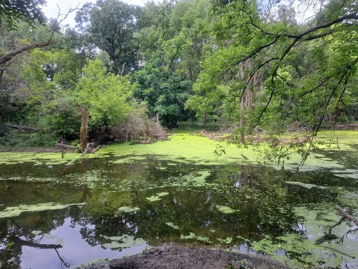 Deerwood Park Evansdale Iowa Picture 8