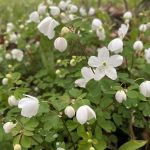 George Wyth State Park Campground