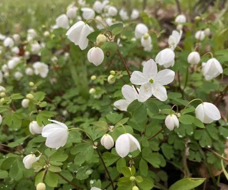 George Wyth State Park Campground