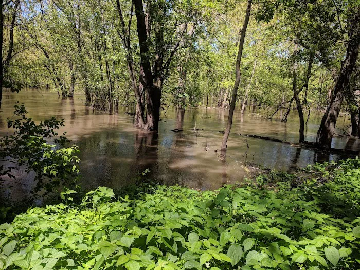 Cedar Bend Campground Picture 7