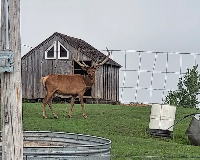River Ranch Camping Picture 5