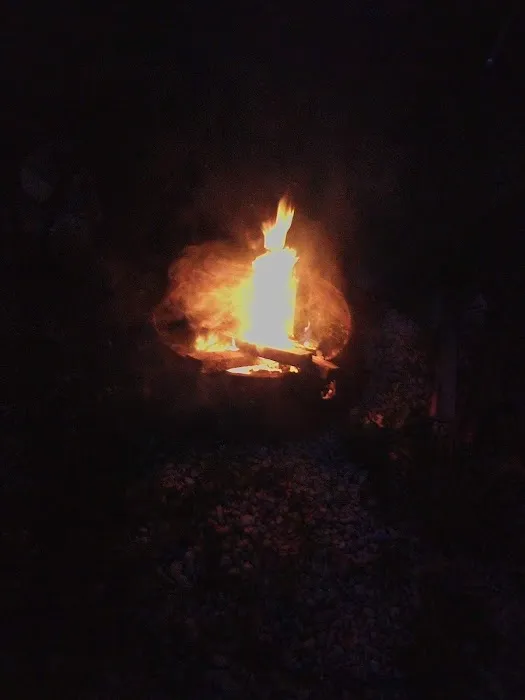 River Ranch Camping Picture 9