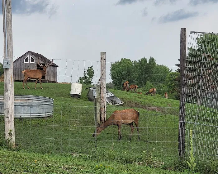 River Ranch Camping Picture 2