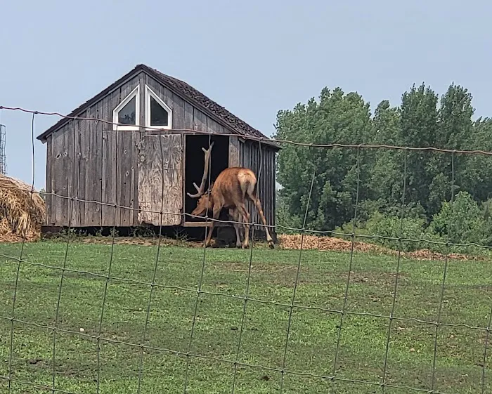 River Ranch Camping Picture 1