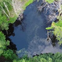 Springhetti Acres ico