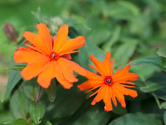 Springhetti Acres Picture 9