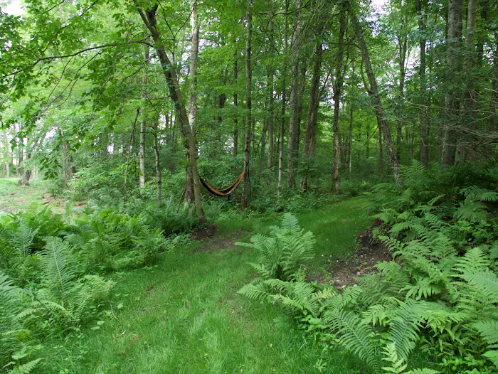 Springhetti Acres Picture 8