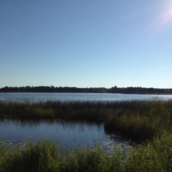 Collins Park Picture 2