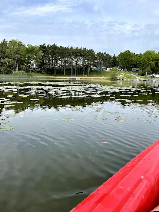 Collins Park Picture 5