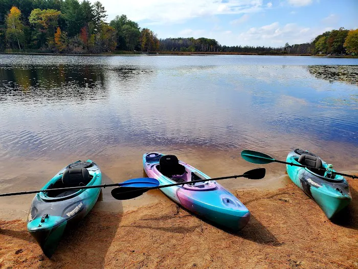 Collins Park Picture 14