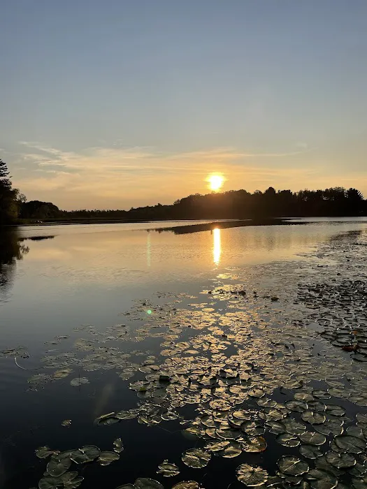 Collins Park Picture 11