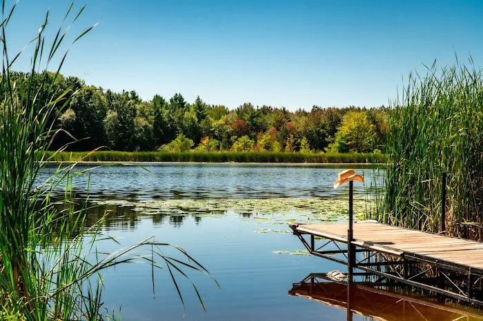 Collins Park Picture 19