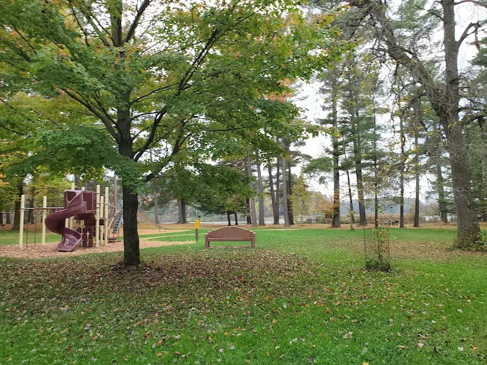 Collins Park Picture 12