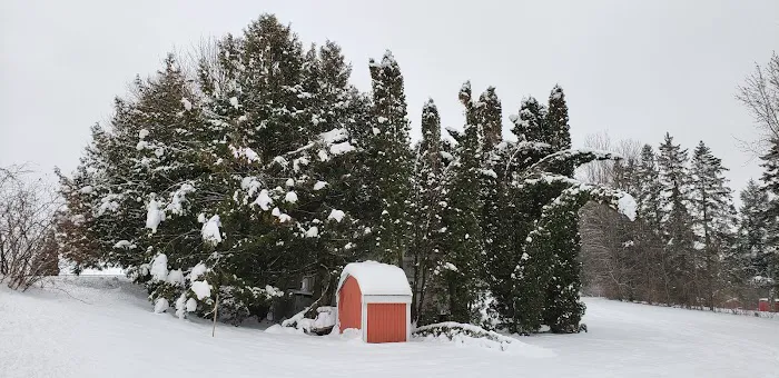 White Clay Lake Lodge Picture 7