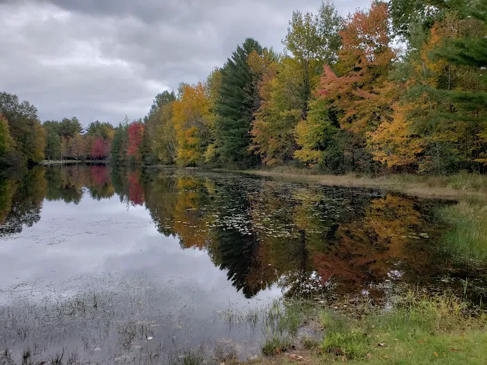 Fawn Lake Campground Picture 5
