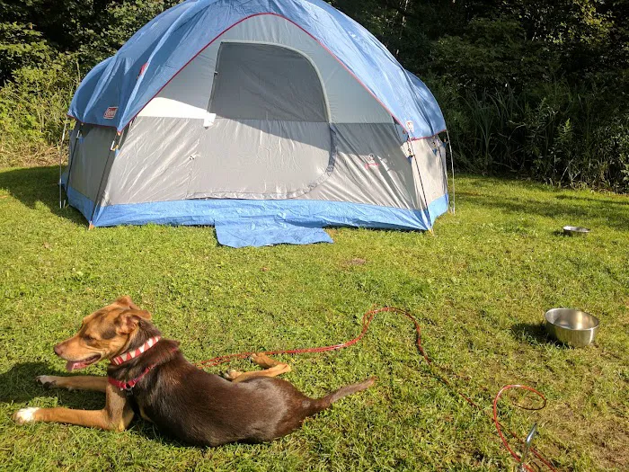 Fawn Lake Campground Picture 7